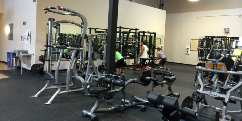 Gymnasium